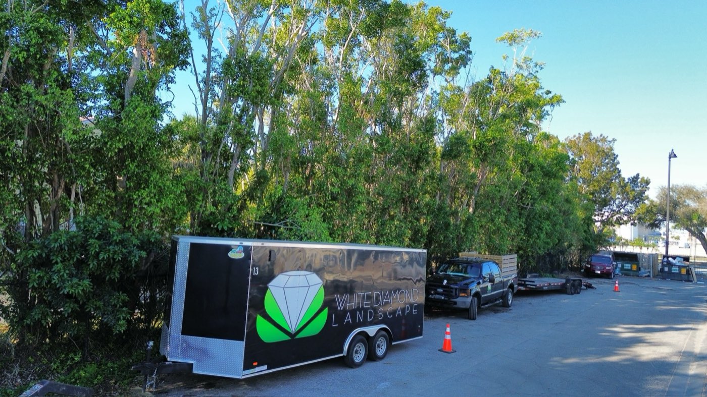 White Diamond Landscape project