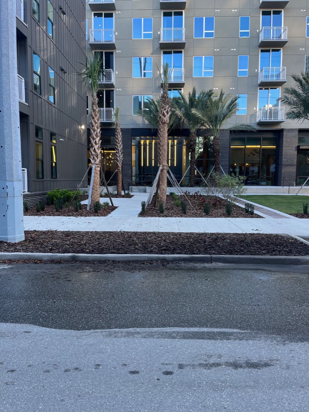 Florida landscaping project