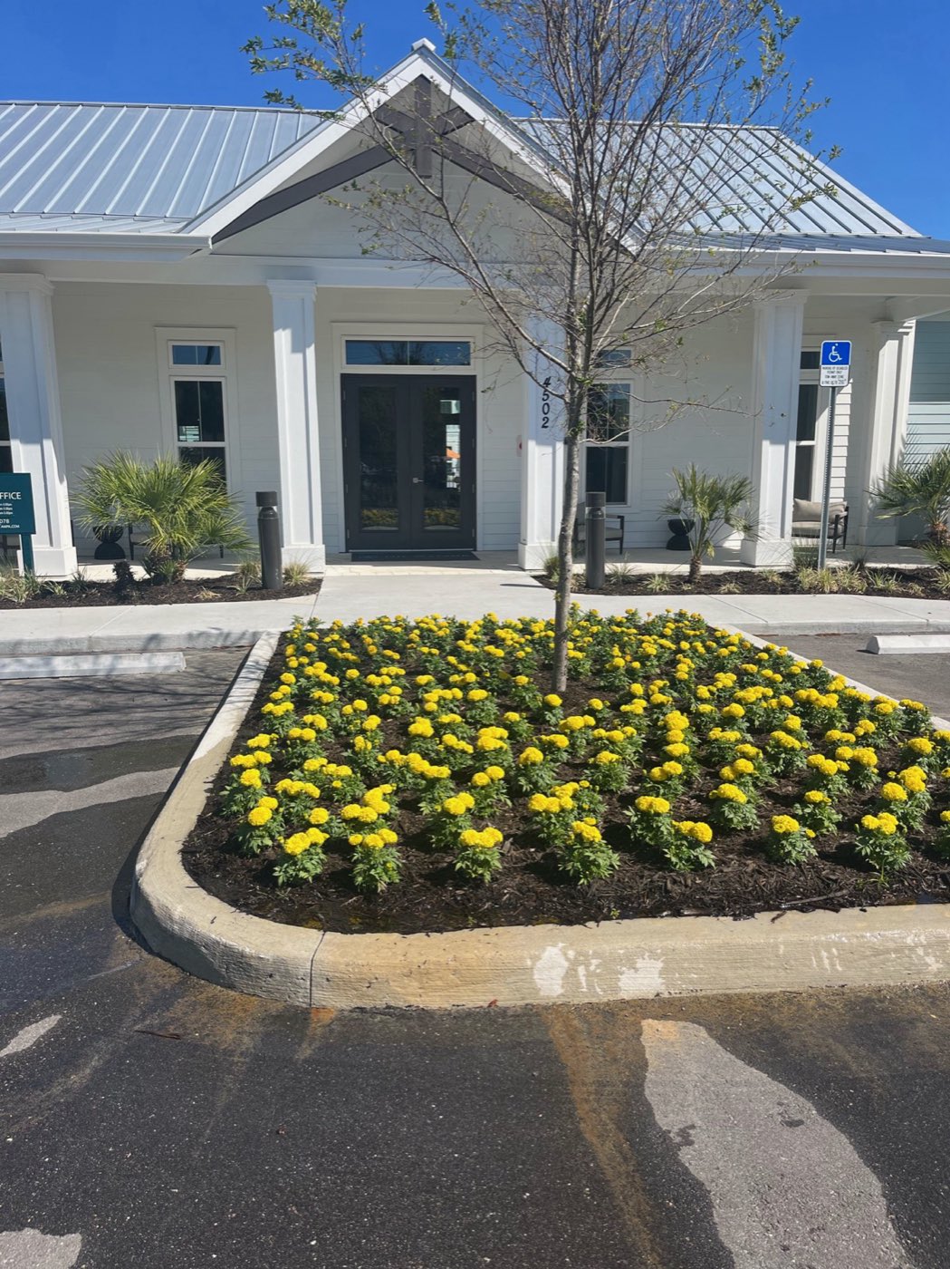White Diamond Landscape project