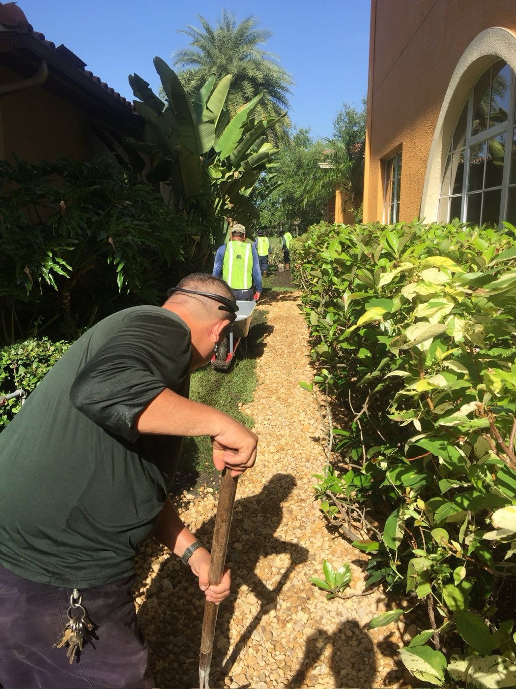 White Diamond Landscape project