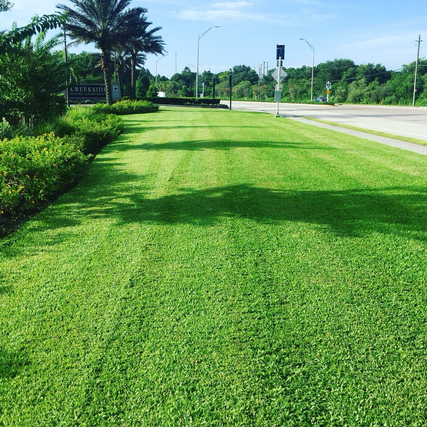 White Diamond Landscape project