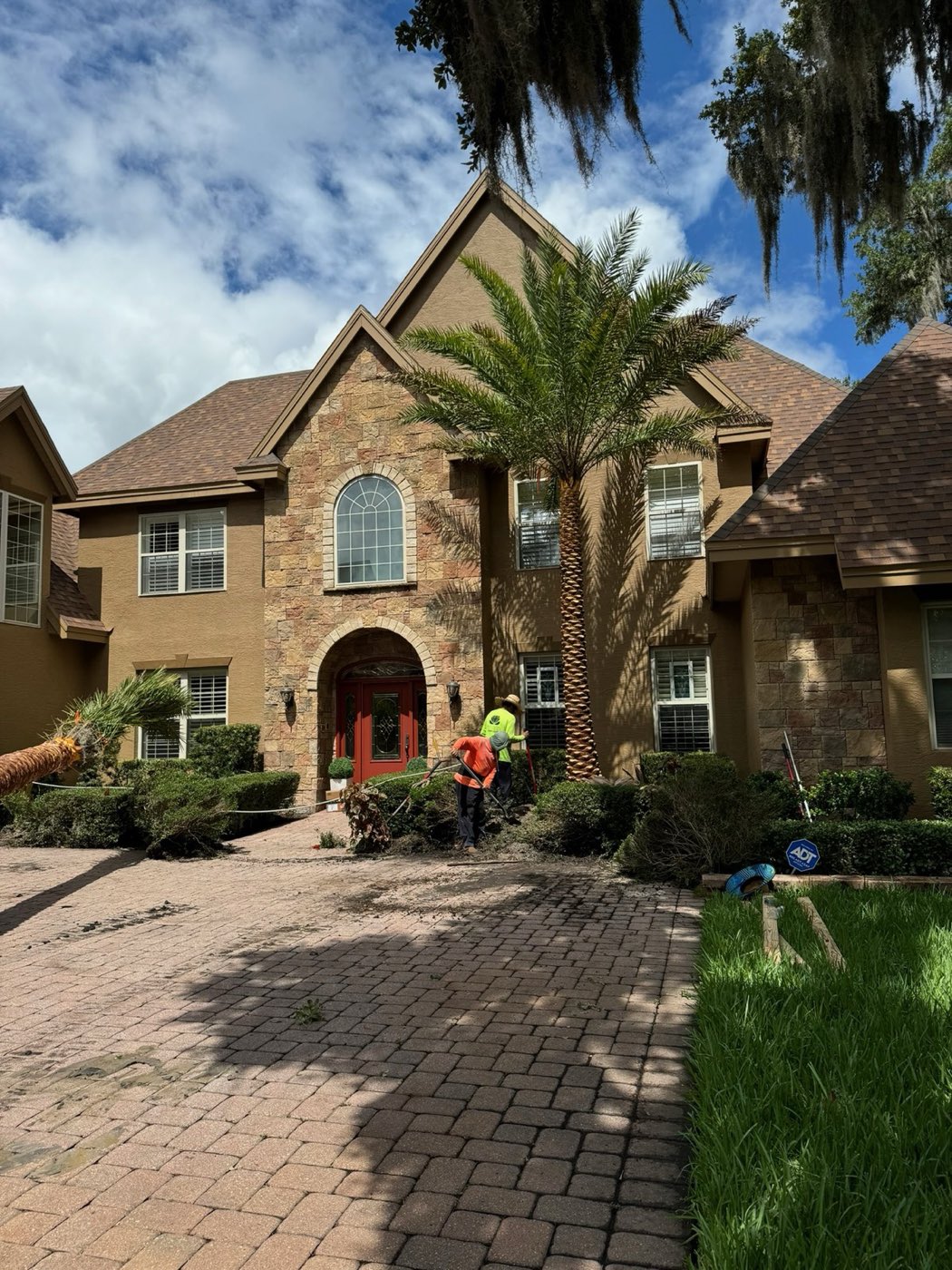 White Diamond Landscape project