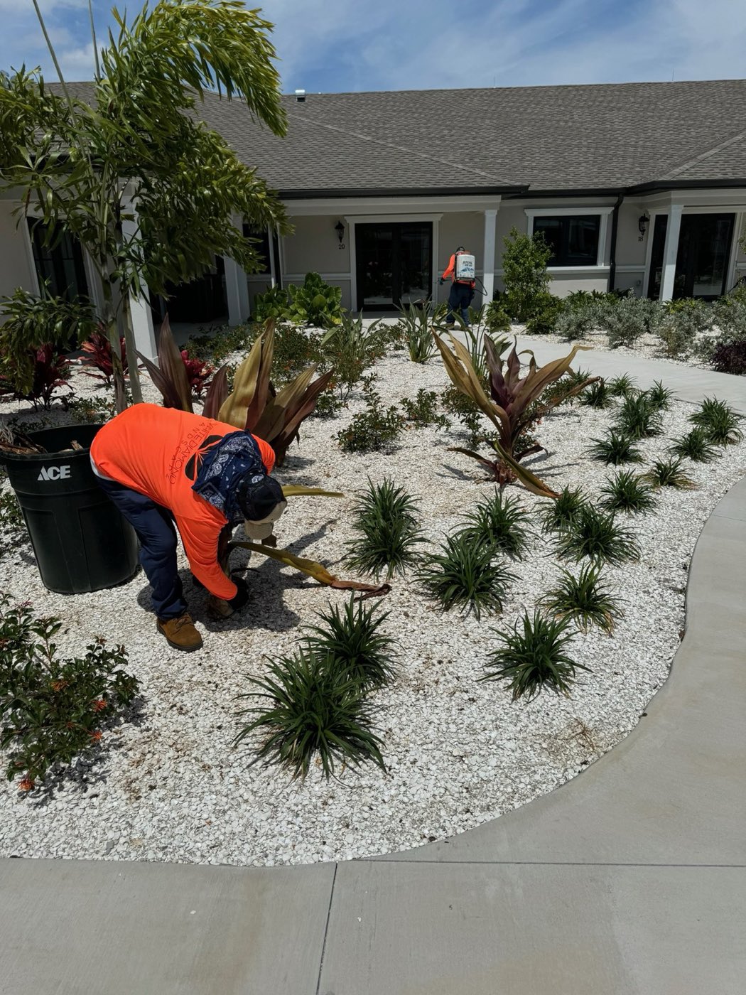 White Diamond Landscape project