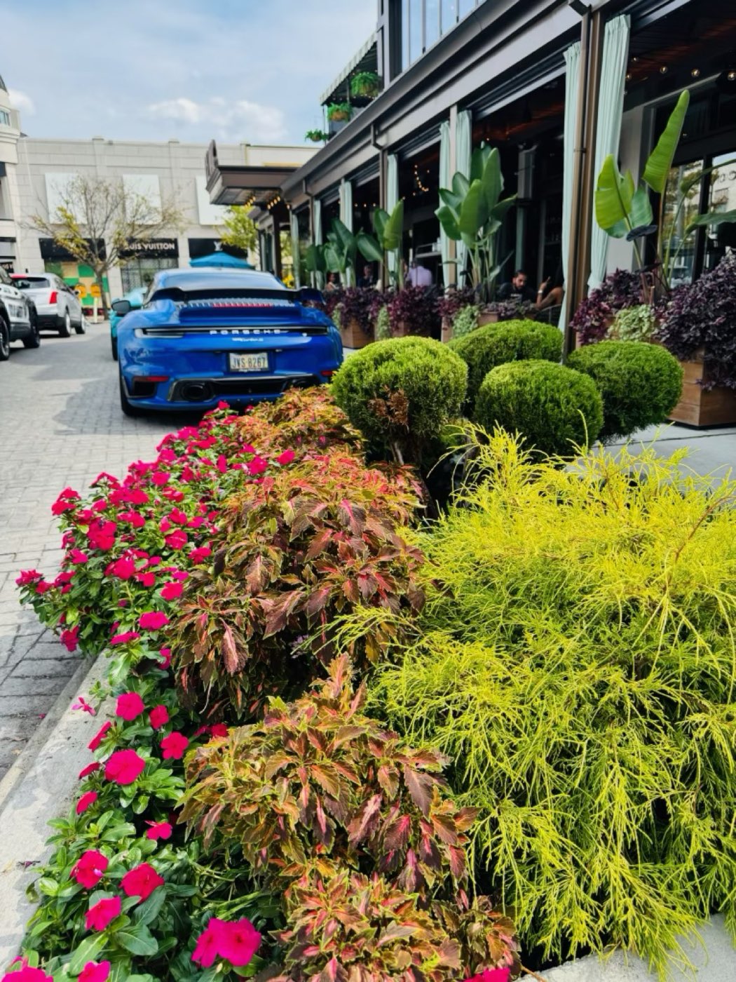 White Diamond Landscape project