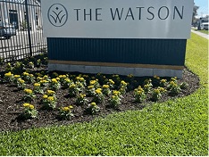 White Diamond Landscape project