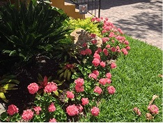 White Diamond Landscape project