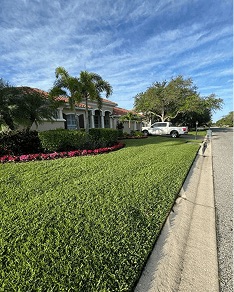 White Diamond Landscape project