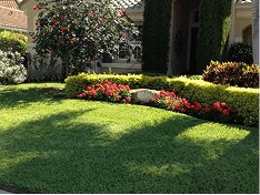 White Diamond Landscape project