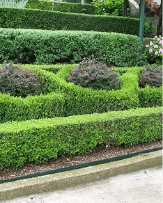White Diamond Landscape project