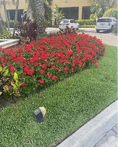 White Diamond Landscape project