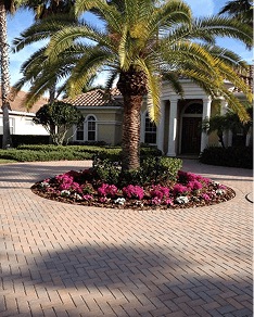 White Diamond Landscape project