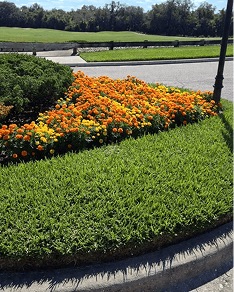 White Diamond Landscape project