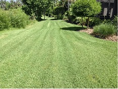 White Diamond Landscape project