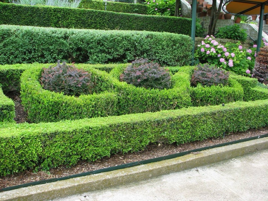 Florida commercial landscaping