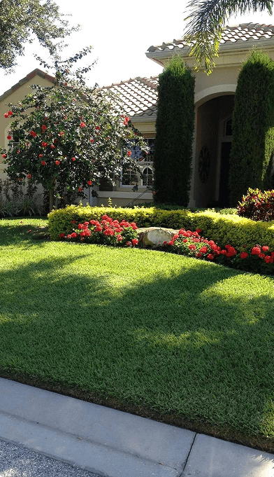 Bradenton commercial landscape