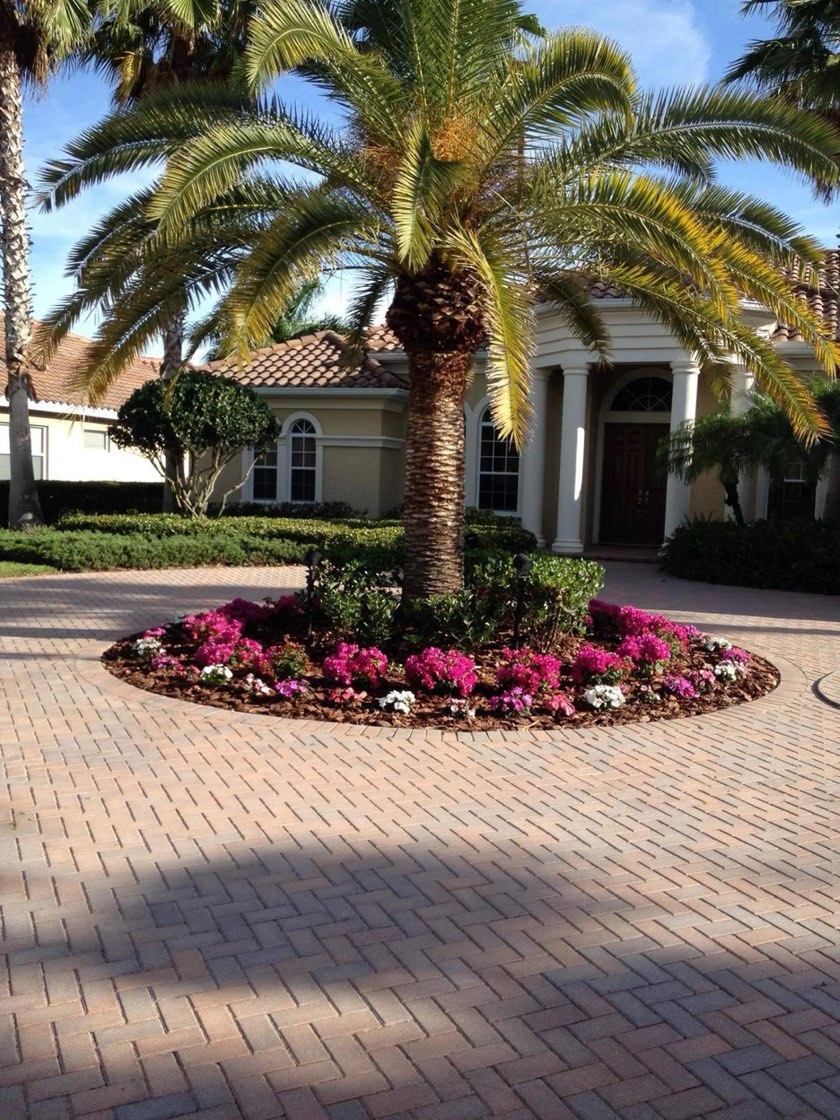 Palm and layered planting beds along a walkway