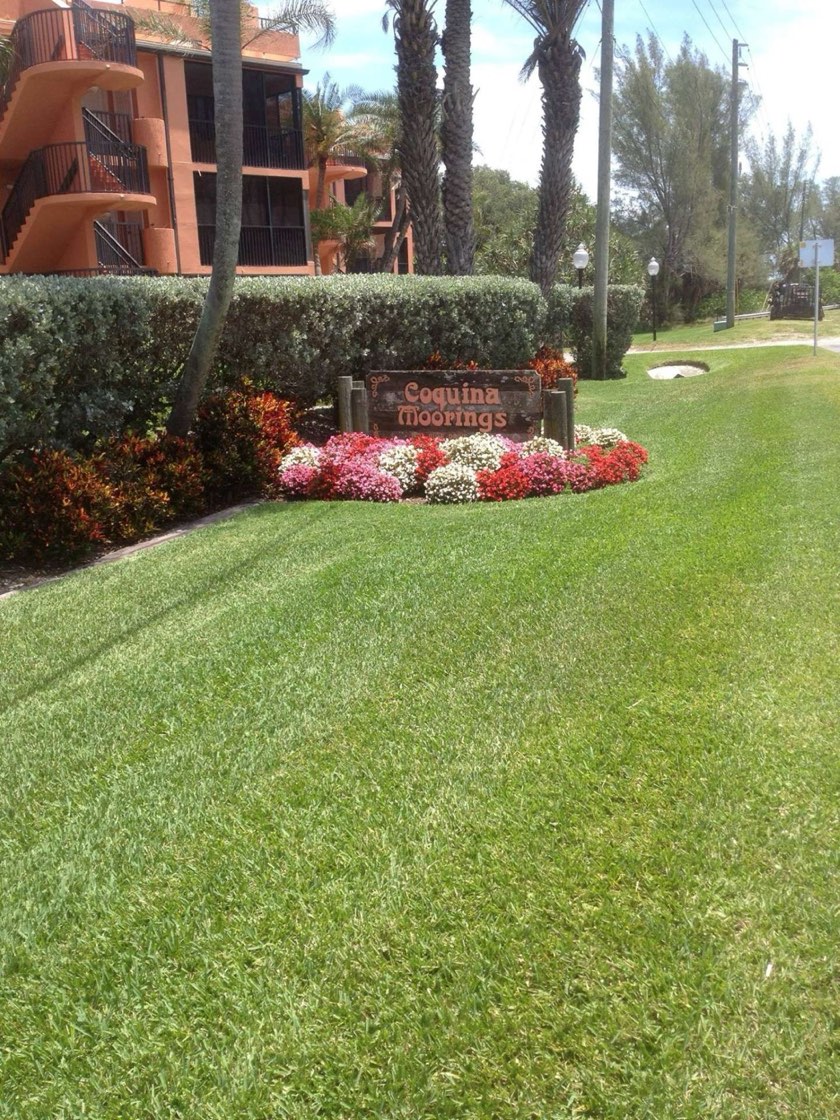Sod & Turf Installation in Bradenton, Florida