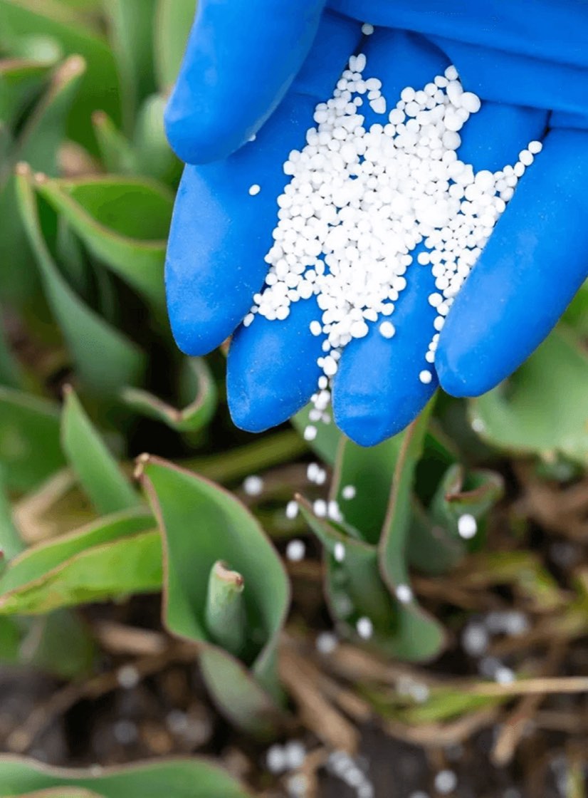 Irrigation & Water Management in Bradenton, Florida